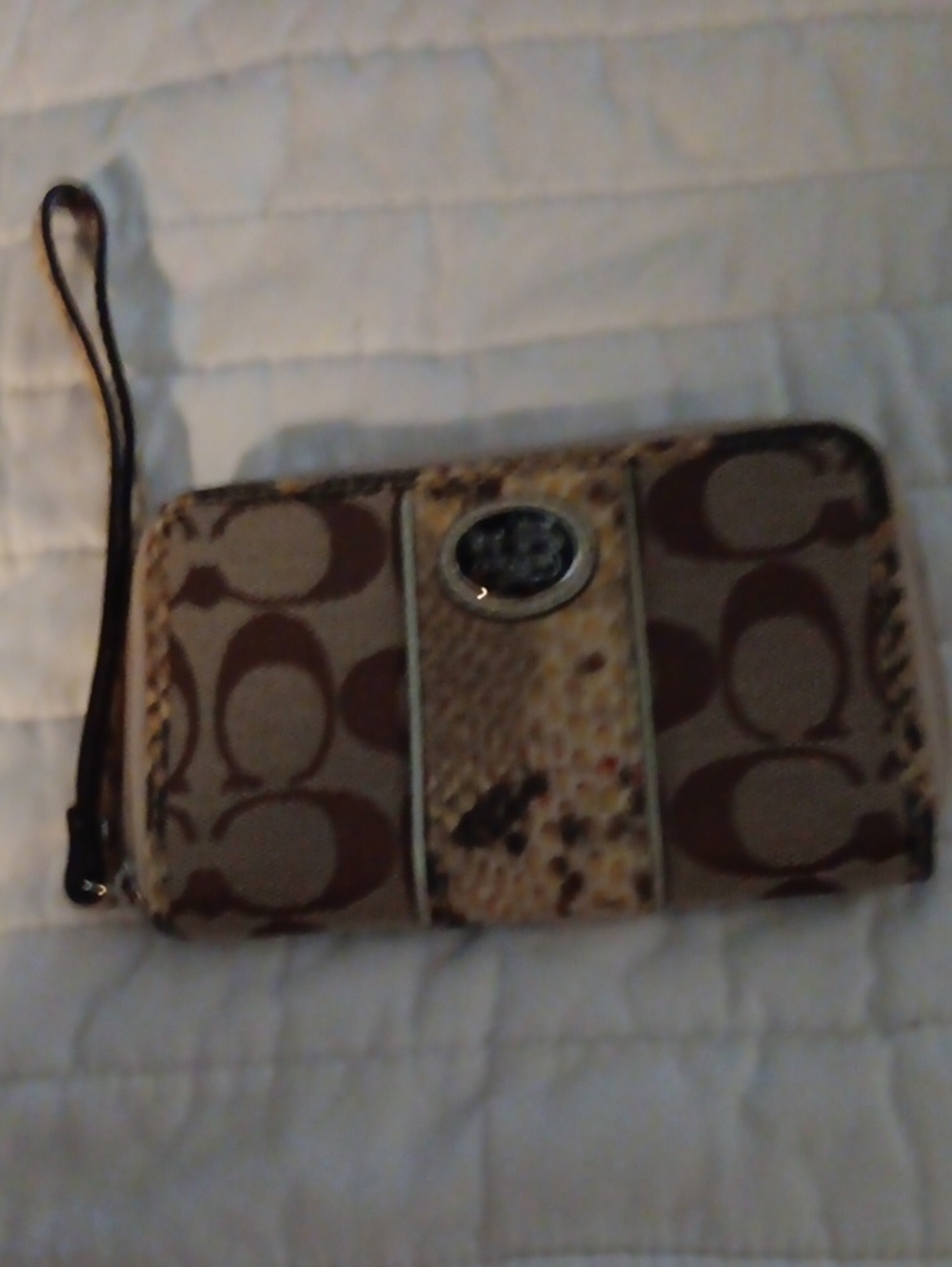 Coach Brown Signature Canvas Wristlet with Snake-Print Strip New